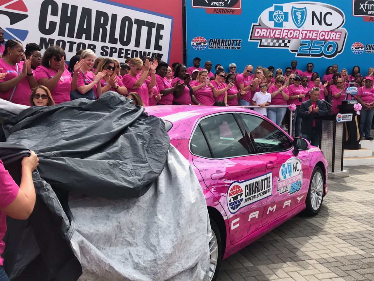 Paint Pit Wall Pink